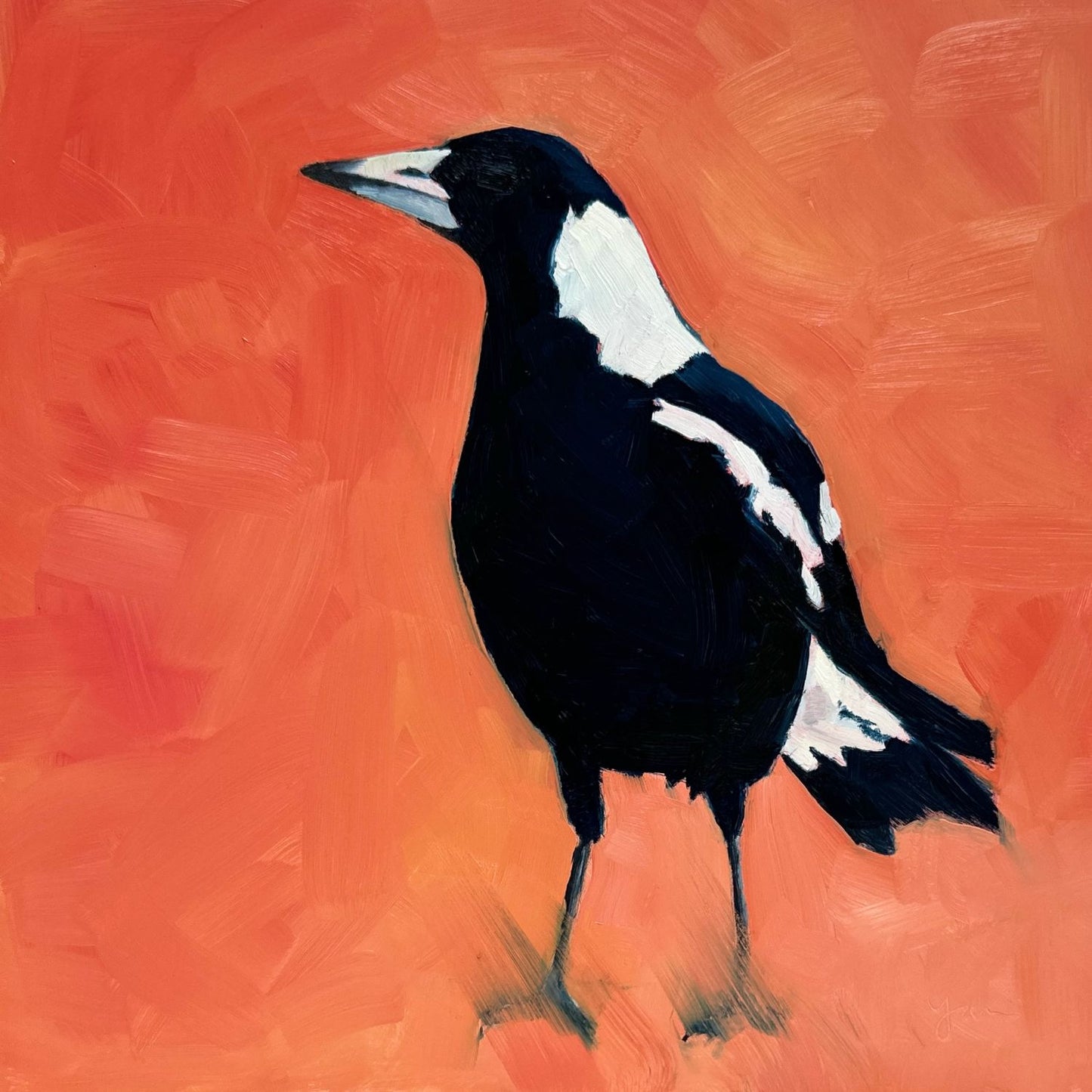 modern and contemporary original oil painting of a navy blue and white magpie on a textured bright orange background
