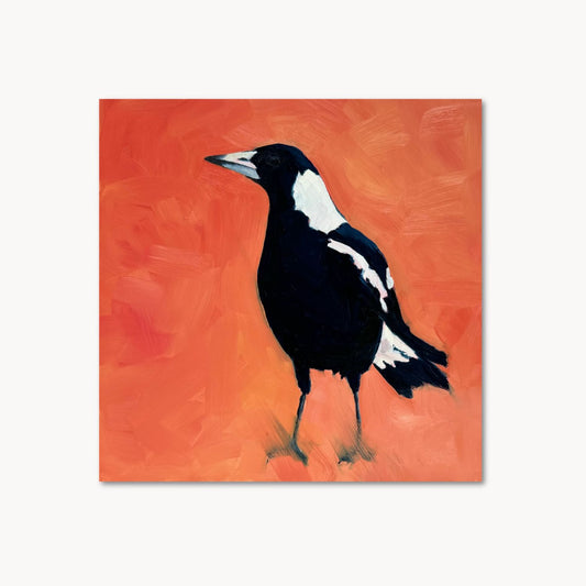 modern and contemporary original oil painting of a navy blue and white magpie on a textured bright orange background