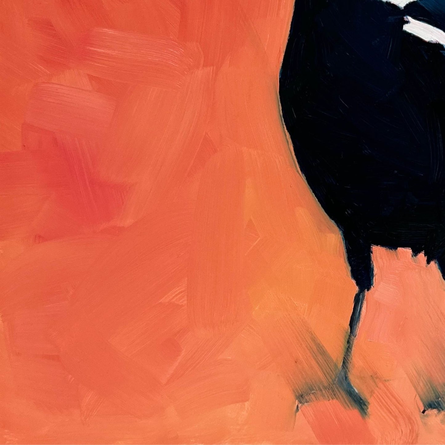 modern and contemporary original oil painting of a navy blue and white magpie on a textured bright orange background