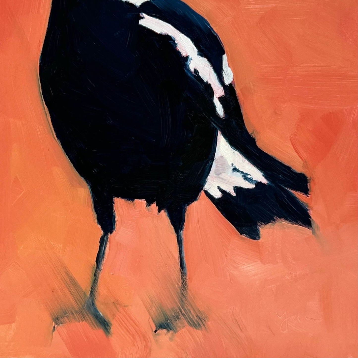 modern and contemporary original oil painting of a navy blue and white magpie on a textured bright orange background