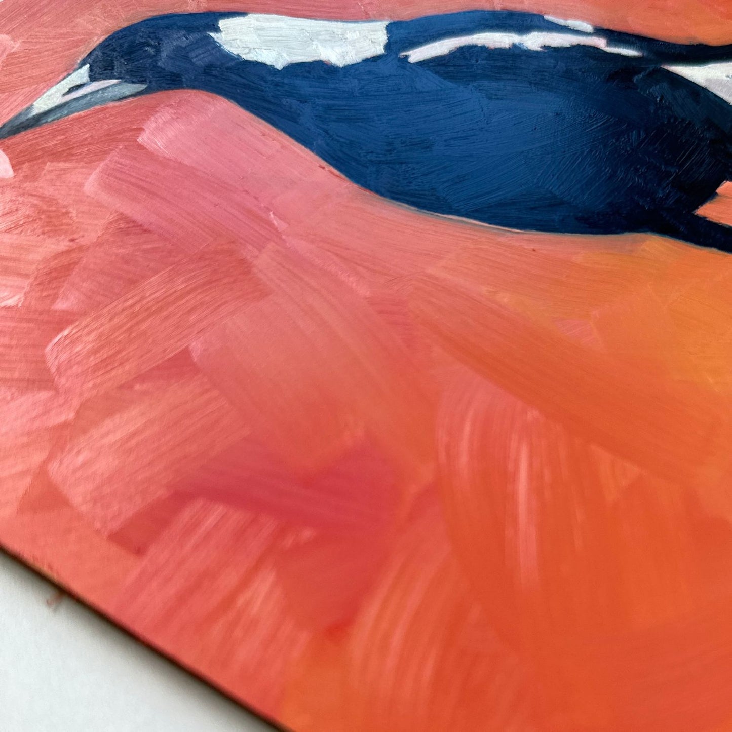 modern and contemporary original oil painting of a navy blue and white magpie on a textured bright orange background