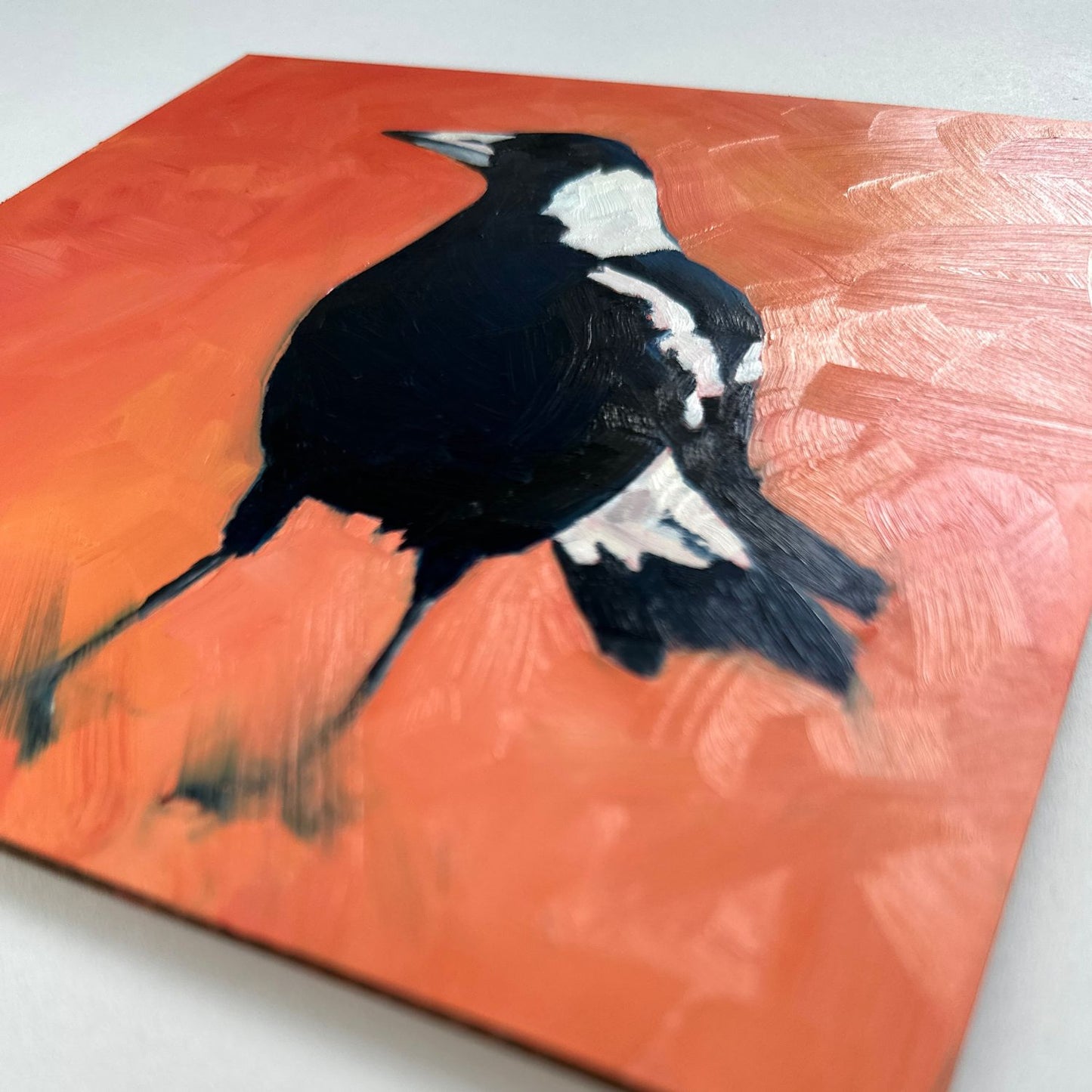 modern and contemporary original oil painting of a navy blue and white magpie on a textured bright orange background