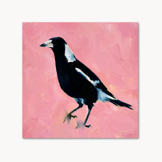 modern and contemporary original oil painting of a colourful navy blue and white magpie on a textured bubble gum pink background