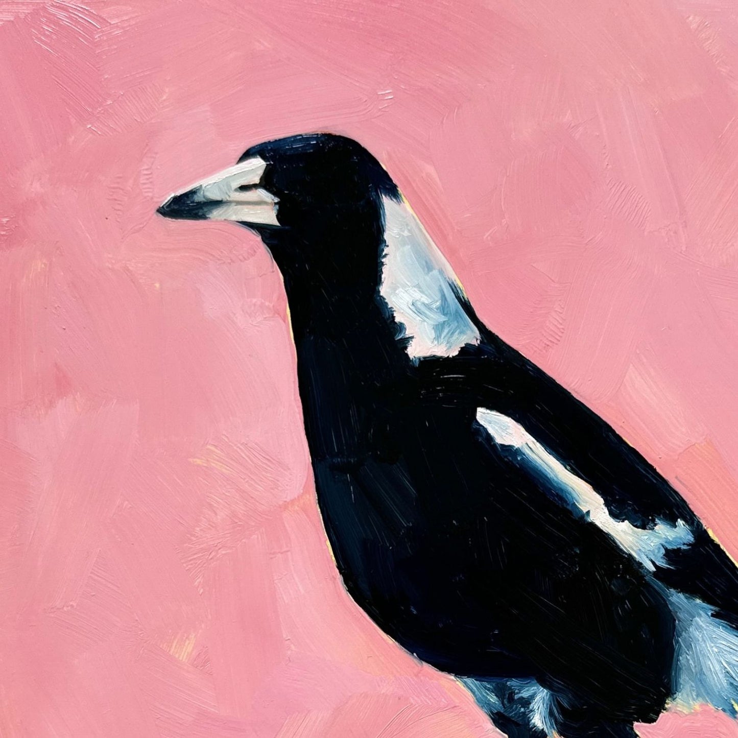 modern and contemporary original oil painting of a colourful navy blue and white magpie on a textured bubble gum pink background