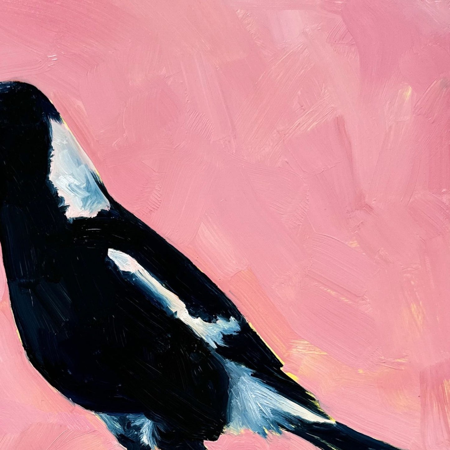 modern and contemporary original oil painting of a colourful navy blue and white magpie on a textured bubble gum pink background
