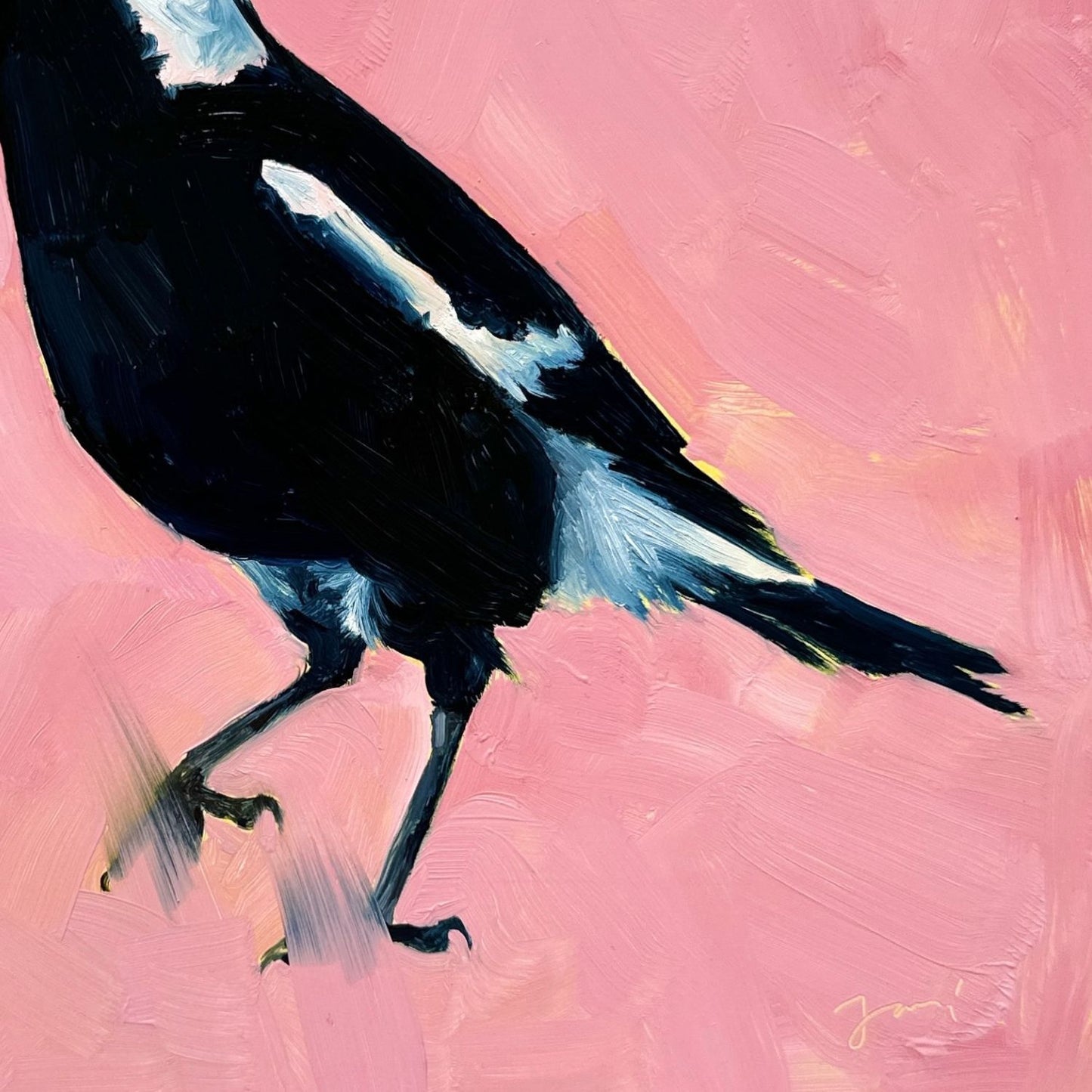 modern and contemporary original oil painting of a colourful navy blue and white magpie on a textured bubble gum pink background