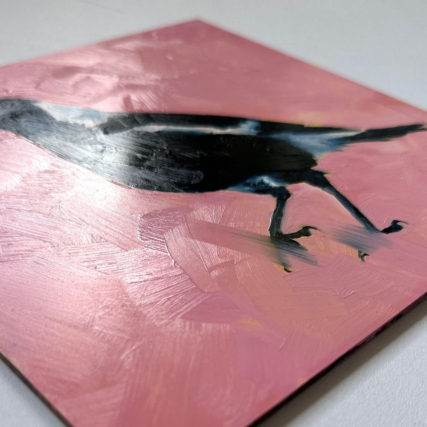 modern and contemporary original oil painting of a colourful navy blue and white magpie on a textured bubble gum pink background