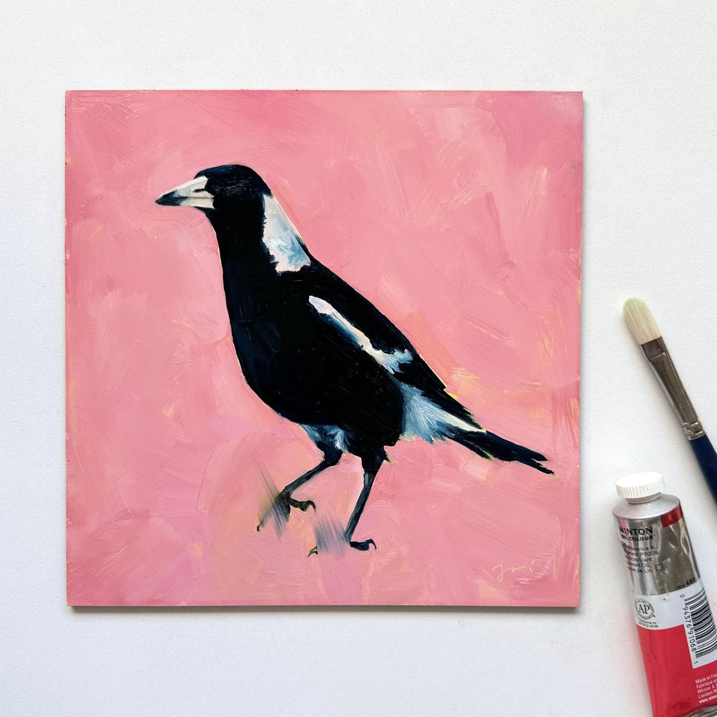 modern and contemporary original oil painting of a colourful navy blue and white magpie on a textured bubble gum pink background