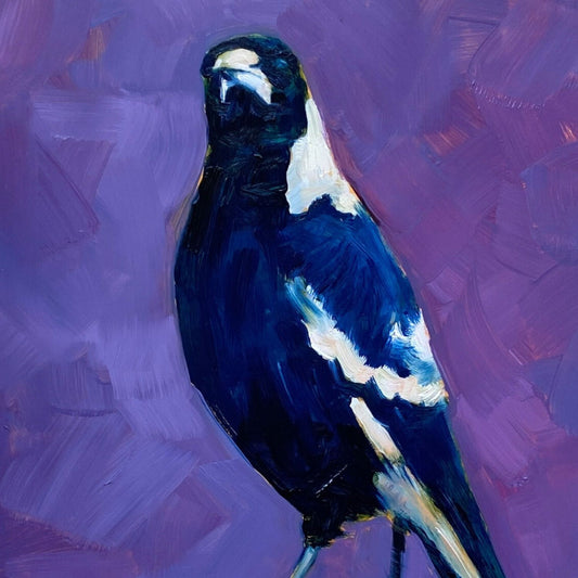 fine art print of an original oil painting of a navy blue and white magpie on a textured violet and purple background