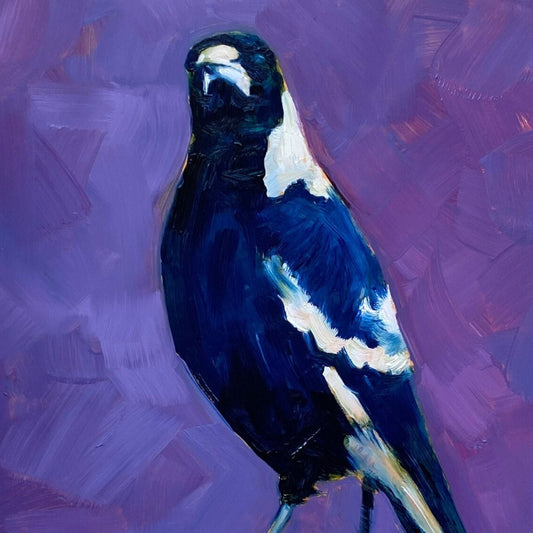 fine art print of an original oil painting of a navy blue and white magpie on a textured violet and purple background