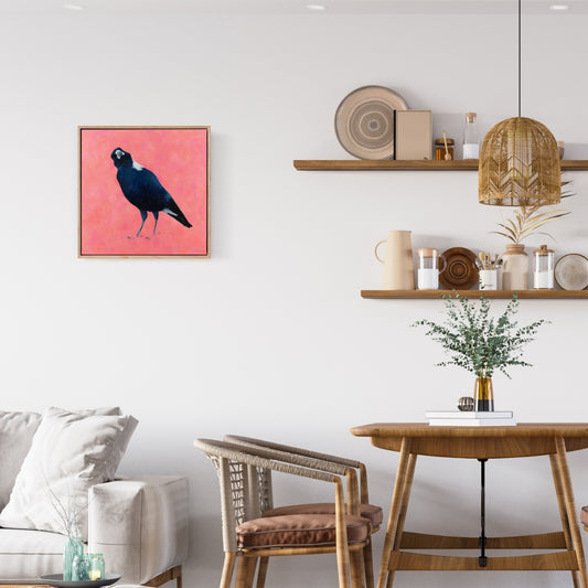 fine art canvas print of an australian magpie on a textured pink background