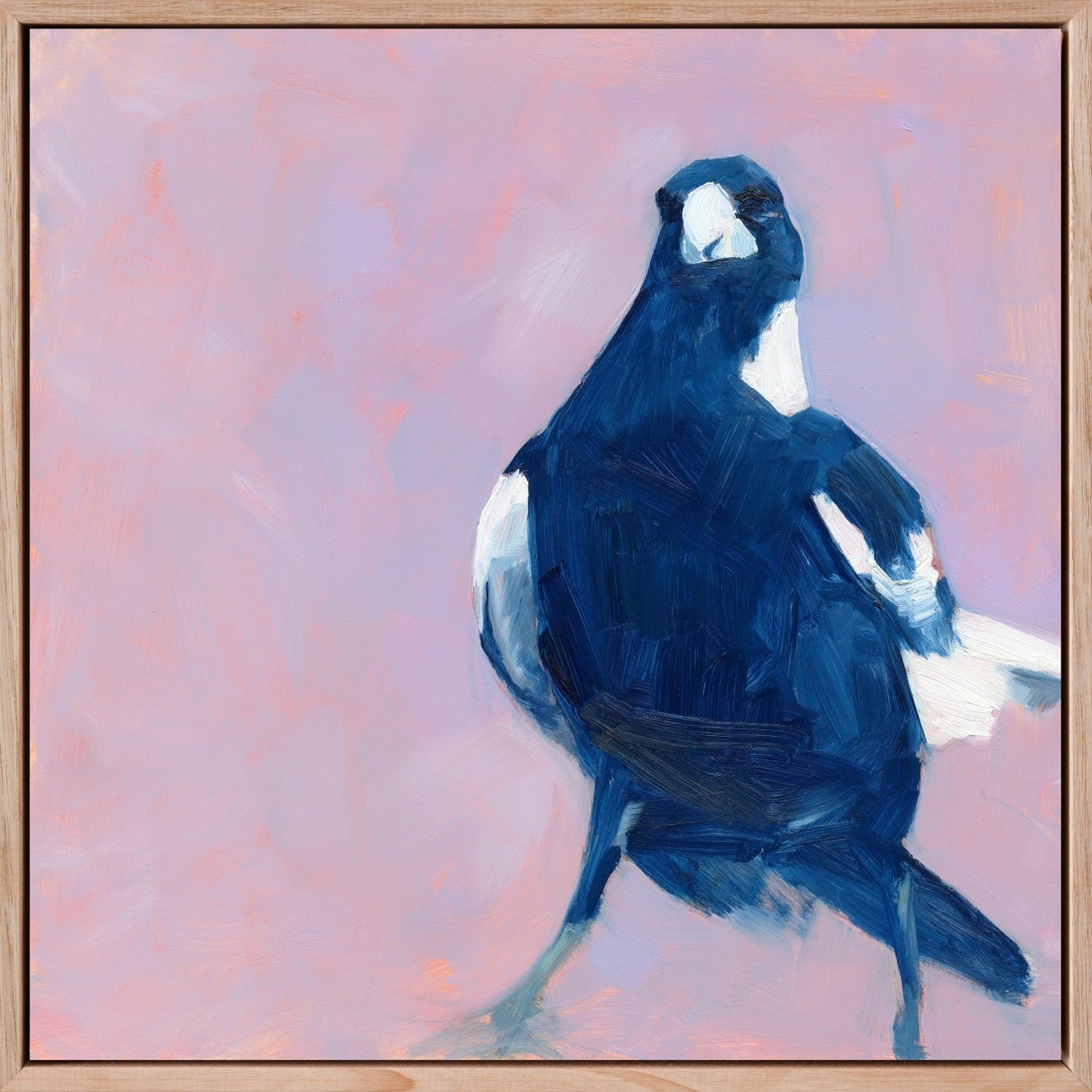fine art framed canvas print of an original oil painting of a navy blue and white magpie with a soft lilac textured background