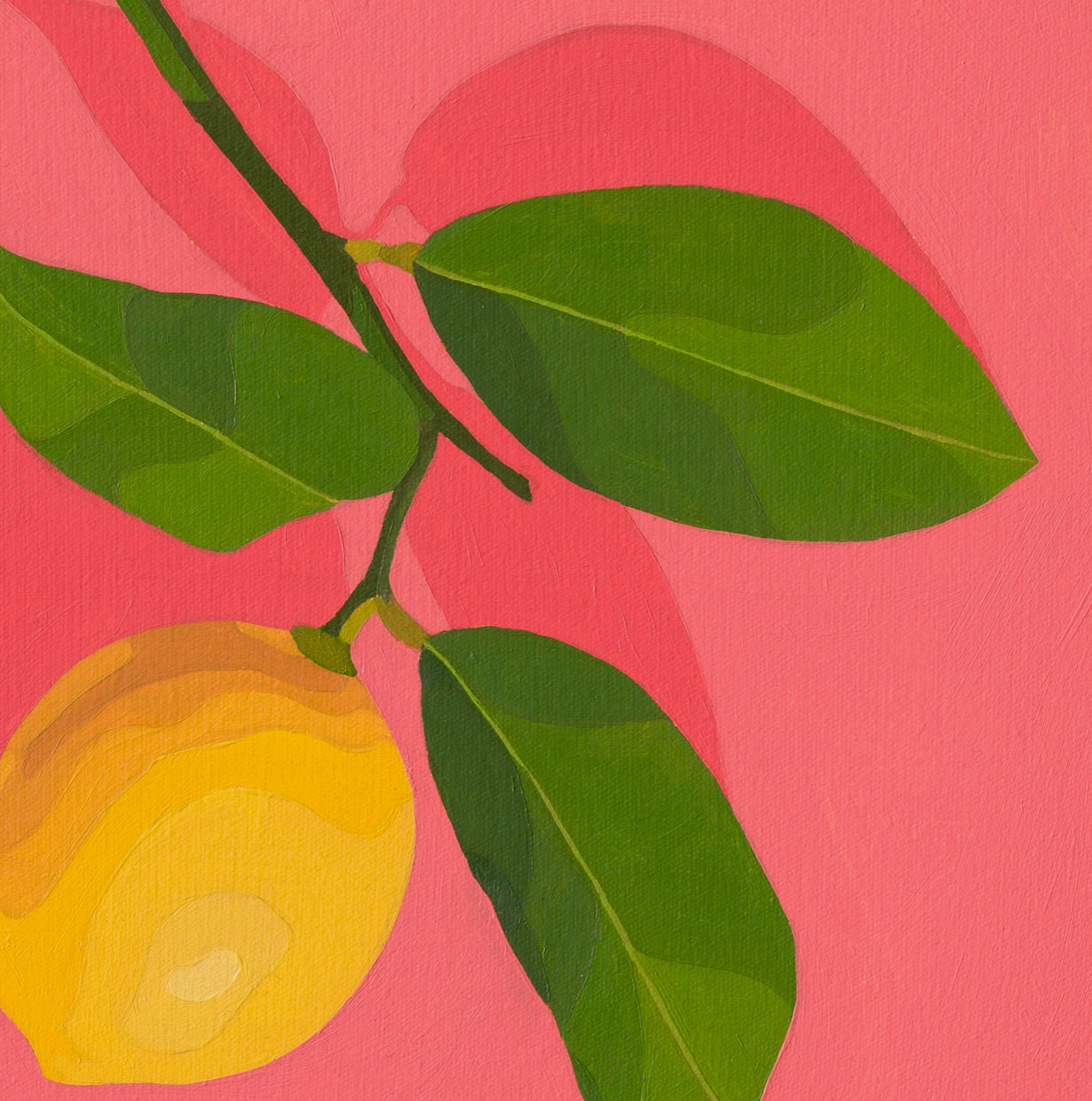 Whimsy Lemon on Coral_4