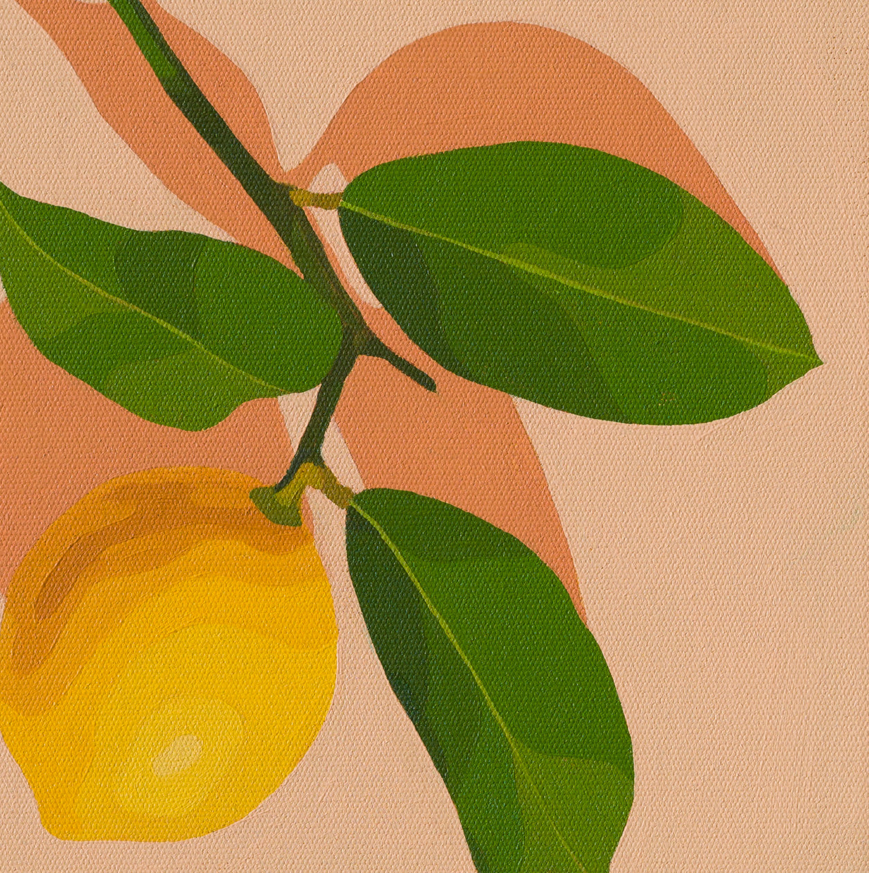 original oil painting of a lemon with stem and leaves sitting on a background of colour vanilla cream with light coral shadow
