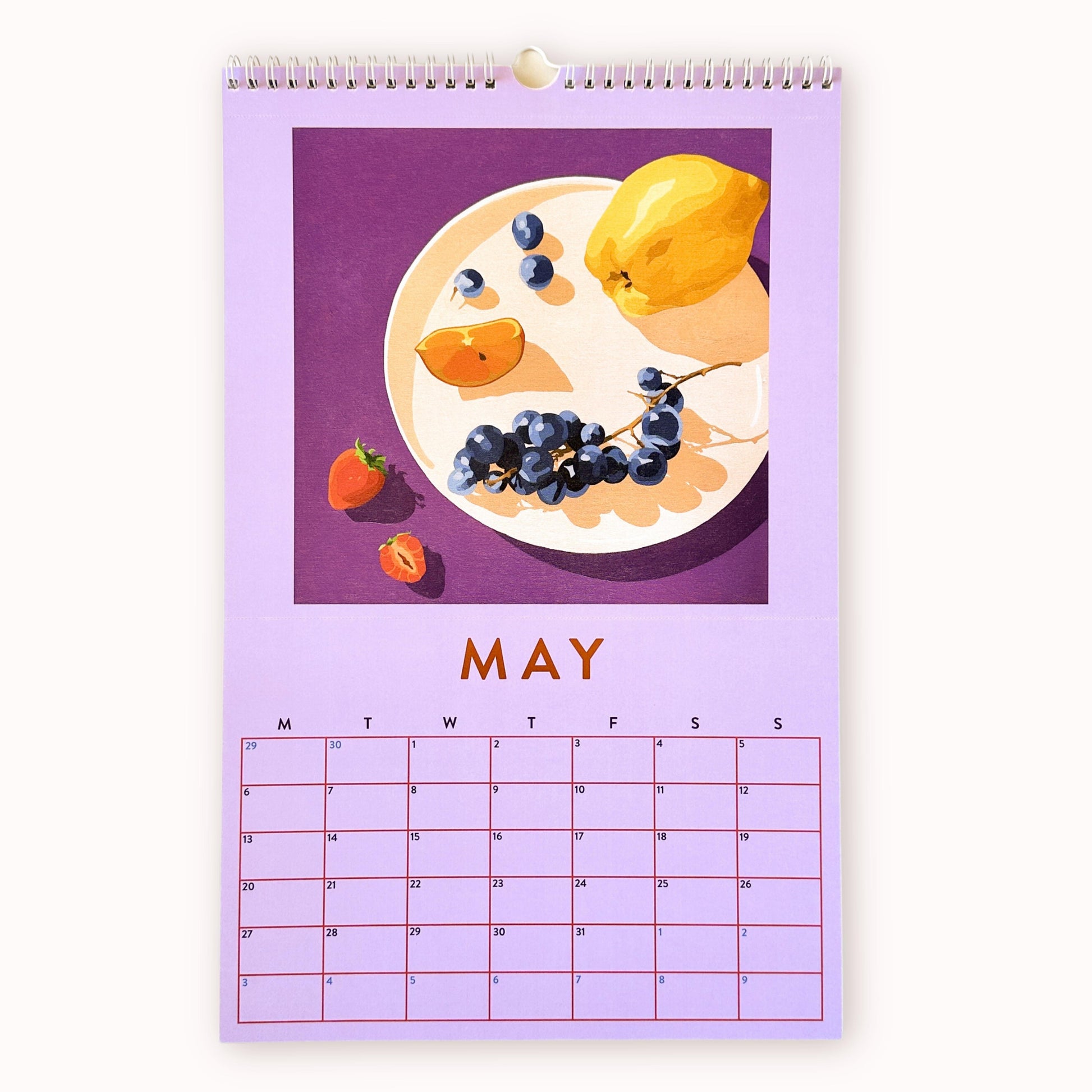 2024 art wall calendar in A3 size for the month of May, featuring a still life oil painting of fruits such as a quince, grapes, orange slice and strawberries, on a cream plate on a magenta background