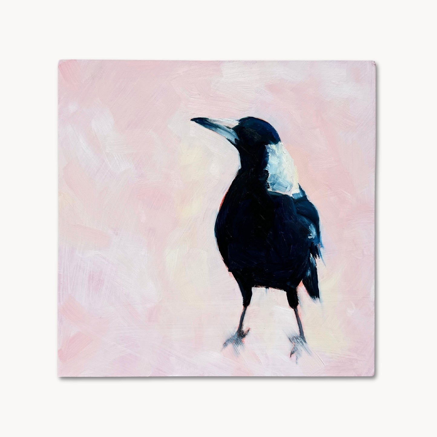 contemporary and modern oil painting of a navy blue and white baby magpie on a textured soft pink background