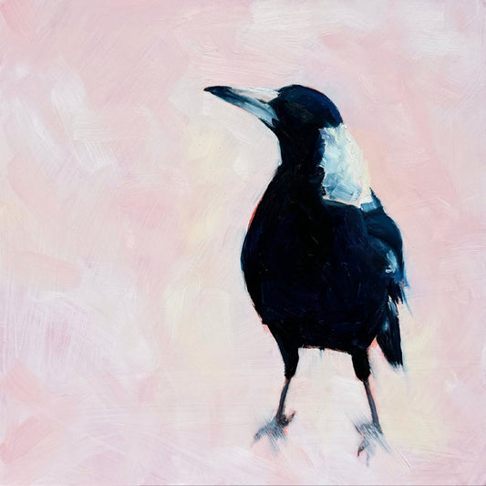 contemporary and modern oil painting of a dark blue and white baby magpie on a textured soft pink background