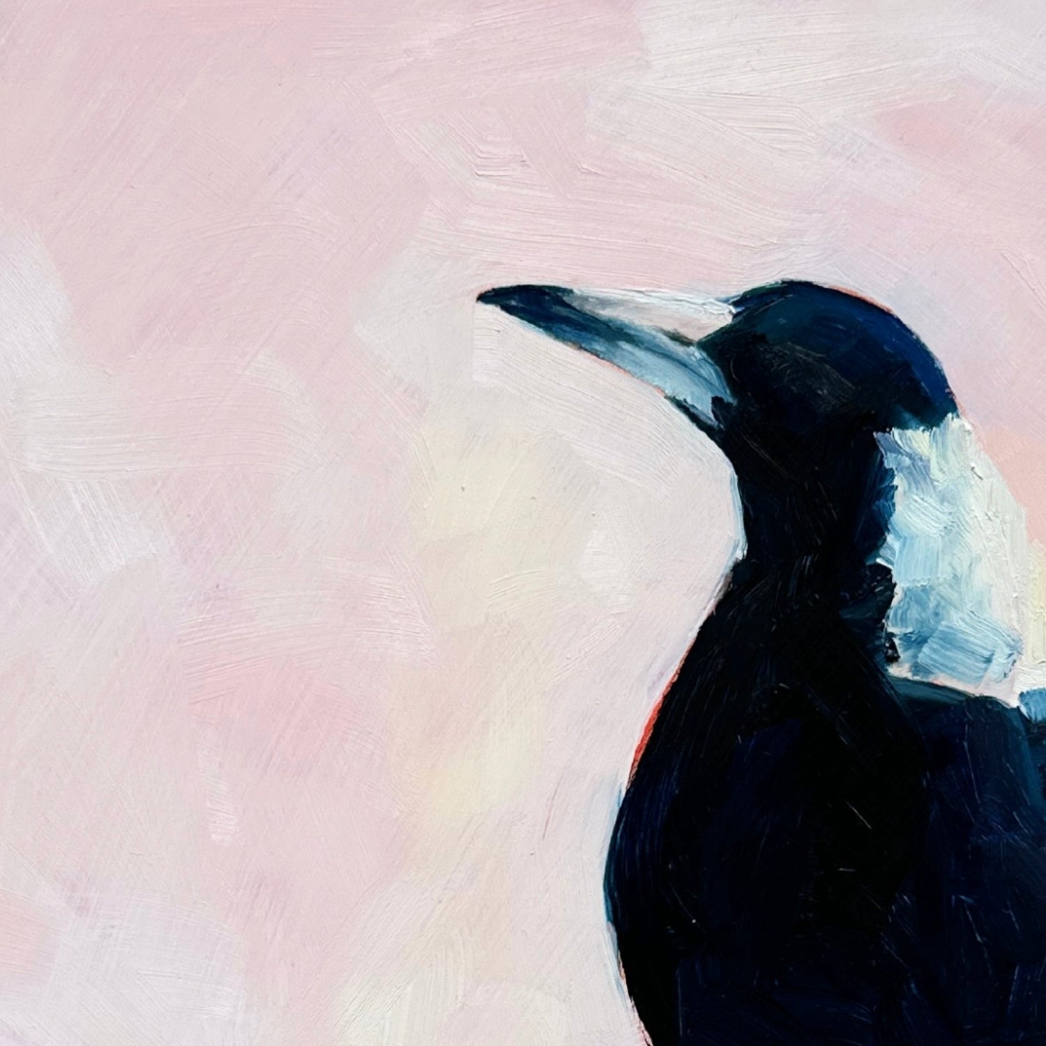 contemporary and modern oil painting of a navy blue and white baby magpie on a textured soft pink background