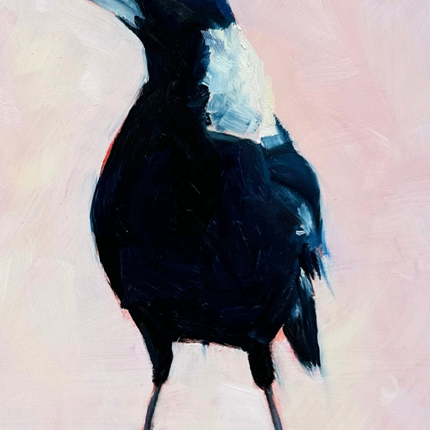 contemporary and modern oil painting of a navy blue and white baby magpie on a textured soft pink background