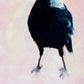 contemporary and modern oil painting of a navy blue and white baby magpie on a textured soft pink background