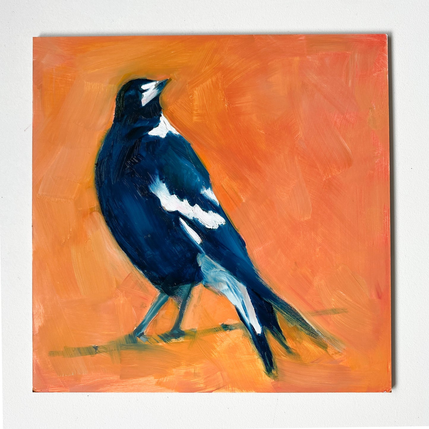 image of an impressionistic oil painting of a navy blue and white magpie looking up on a bright and textured orange background