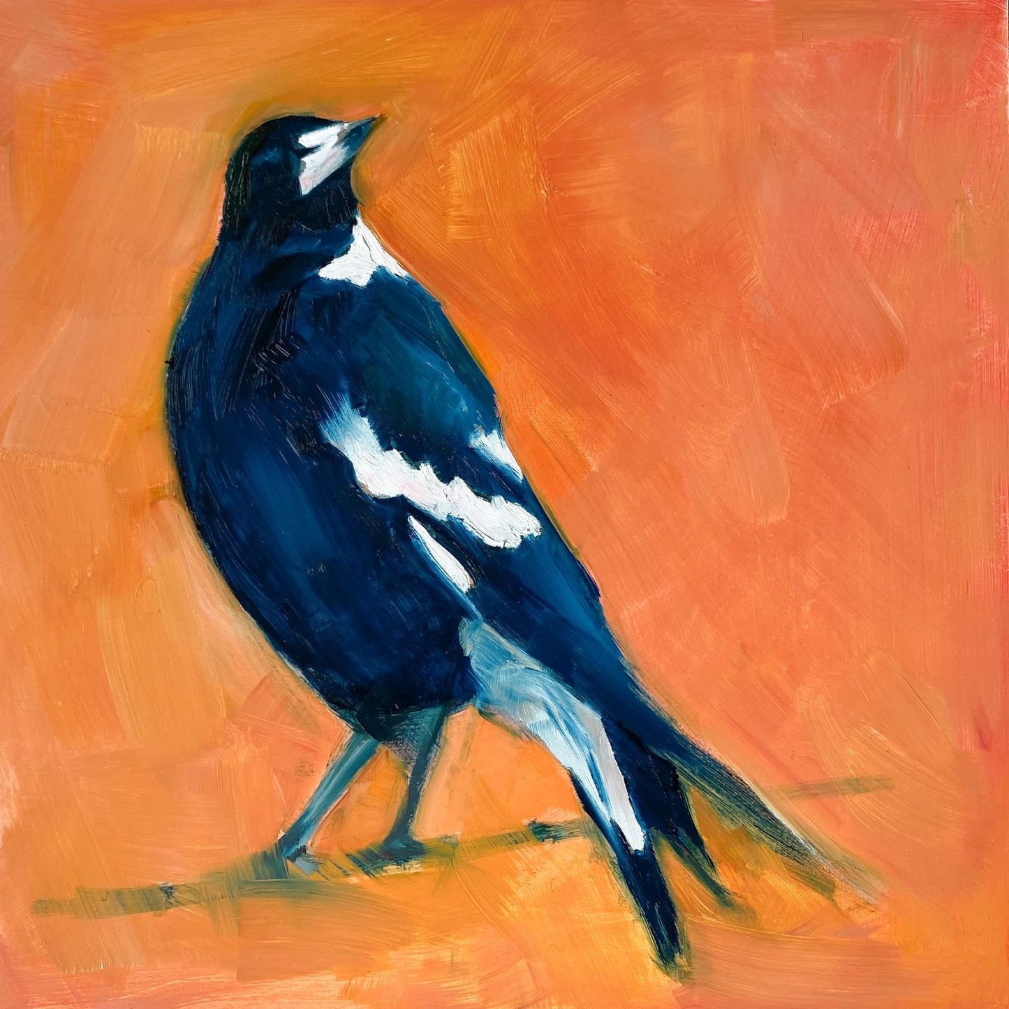 image of an impressionistic oil painting of a navy blue and white magpie looking up on a bright and textured orange background