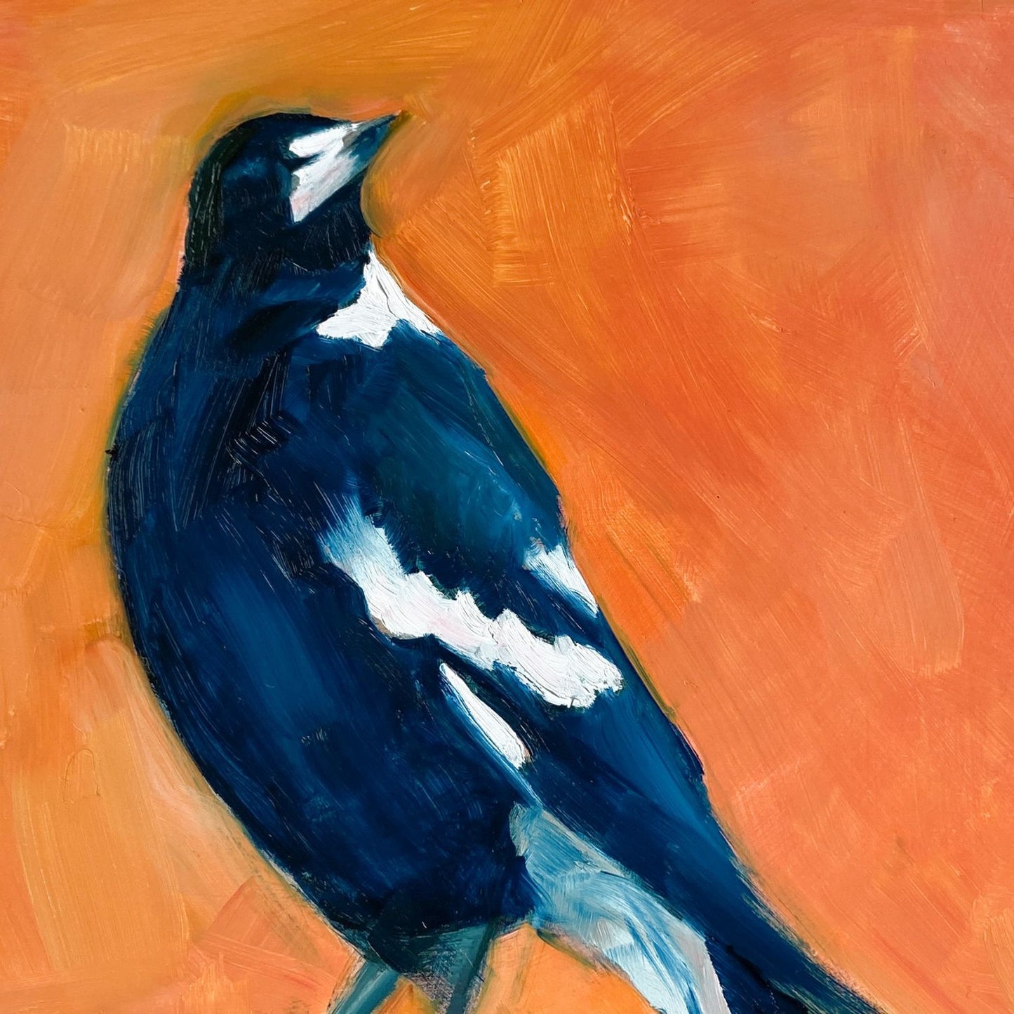 closeup of an image of an impressionistic oil painting of a navy blue and white magpie looking up on a bright and textured orange background
