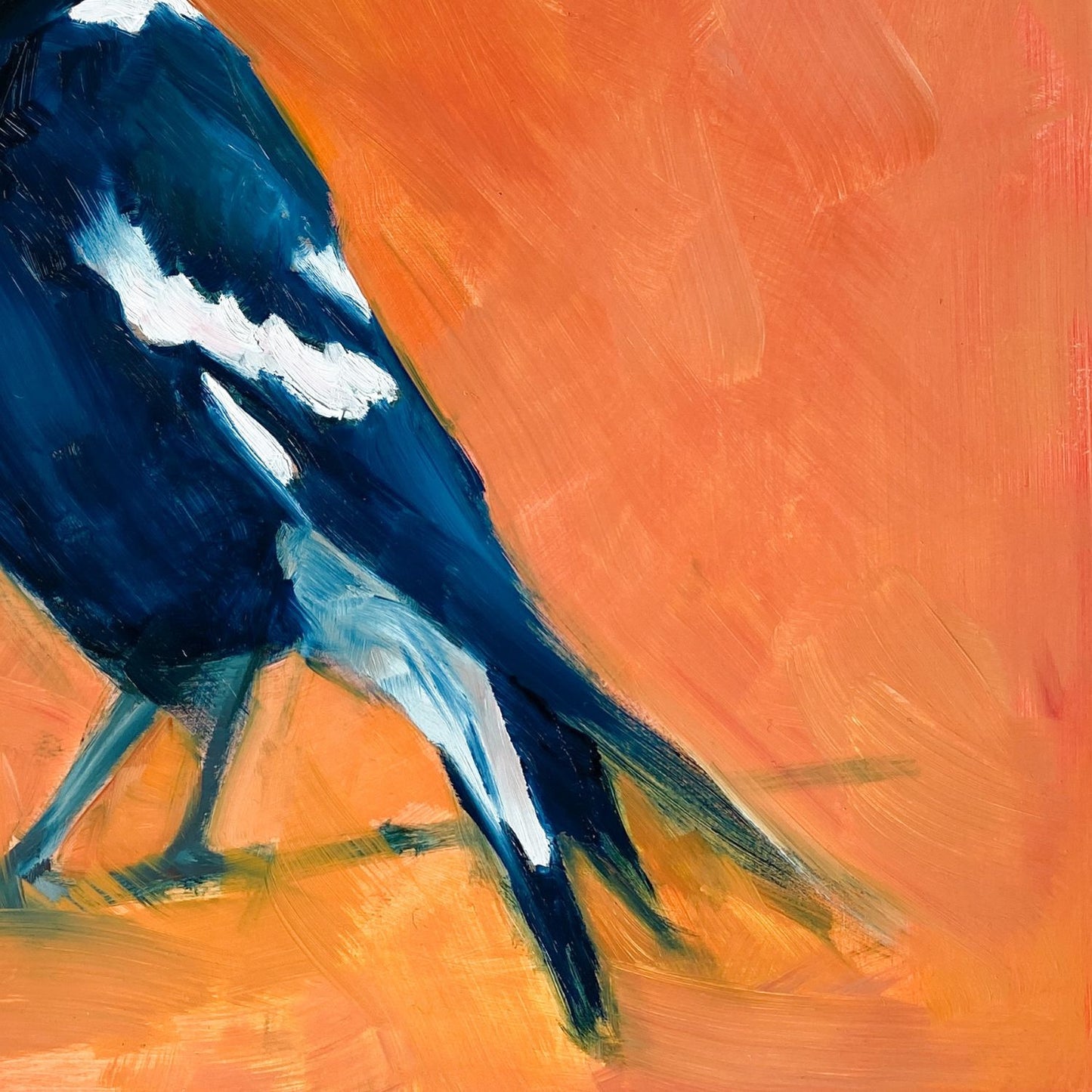 closeup of an image of an impressionistic oil painting of a navy blue and white magpie looking up on a bright and textured orange background
