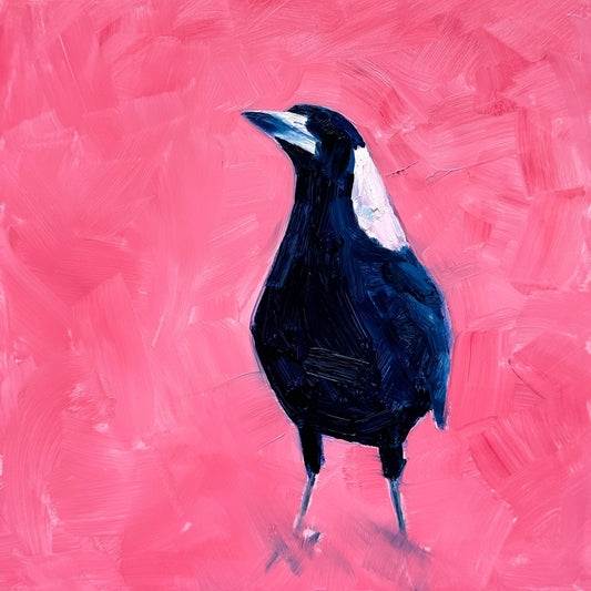 fine art contemporary original oil painting of a navy blue and white magpie on a textured pink background