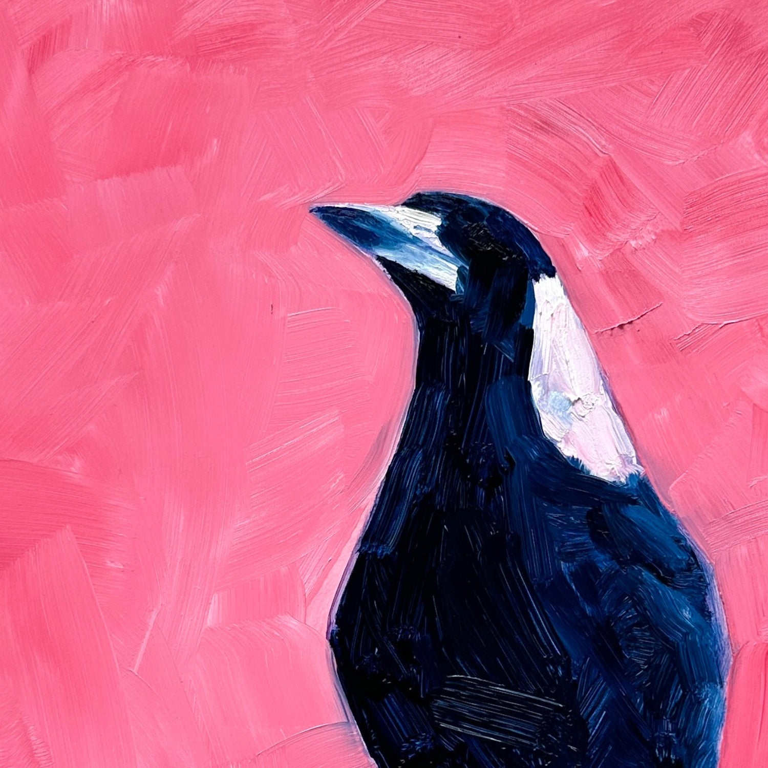 closeup of a fine art contemporary original oil painting of a navy blue and white magpie on a textured pink background