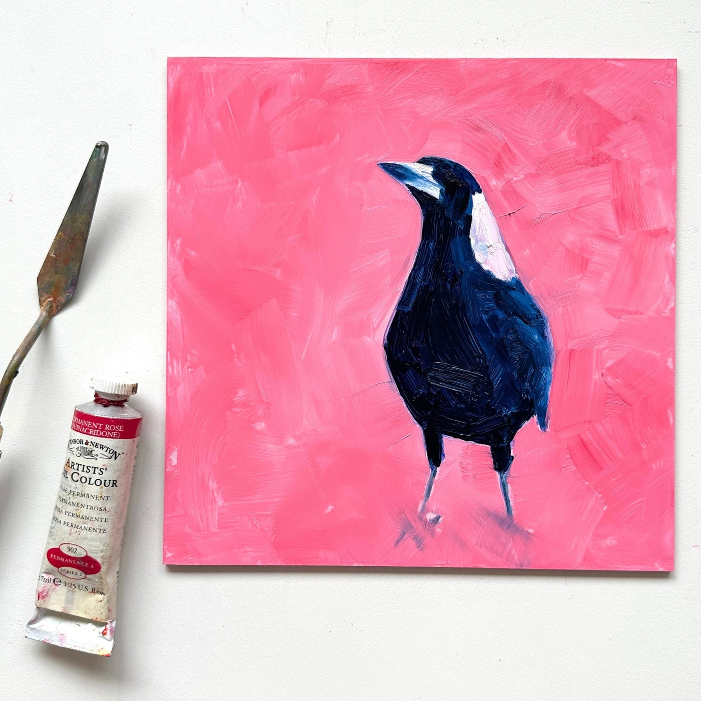lifestyle photo of a fine art contemporary original oil painting of a navy blue and white magpie on a textured pink background on a white desk. there is an oil paint tube and a palette knife next to it