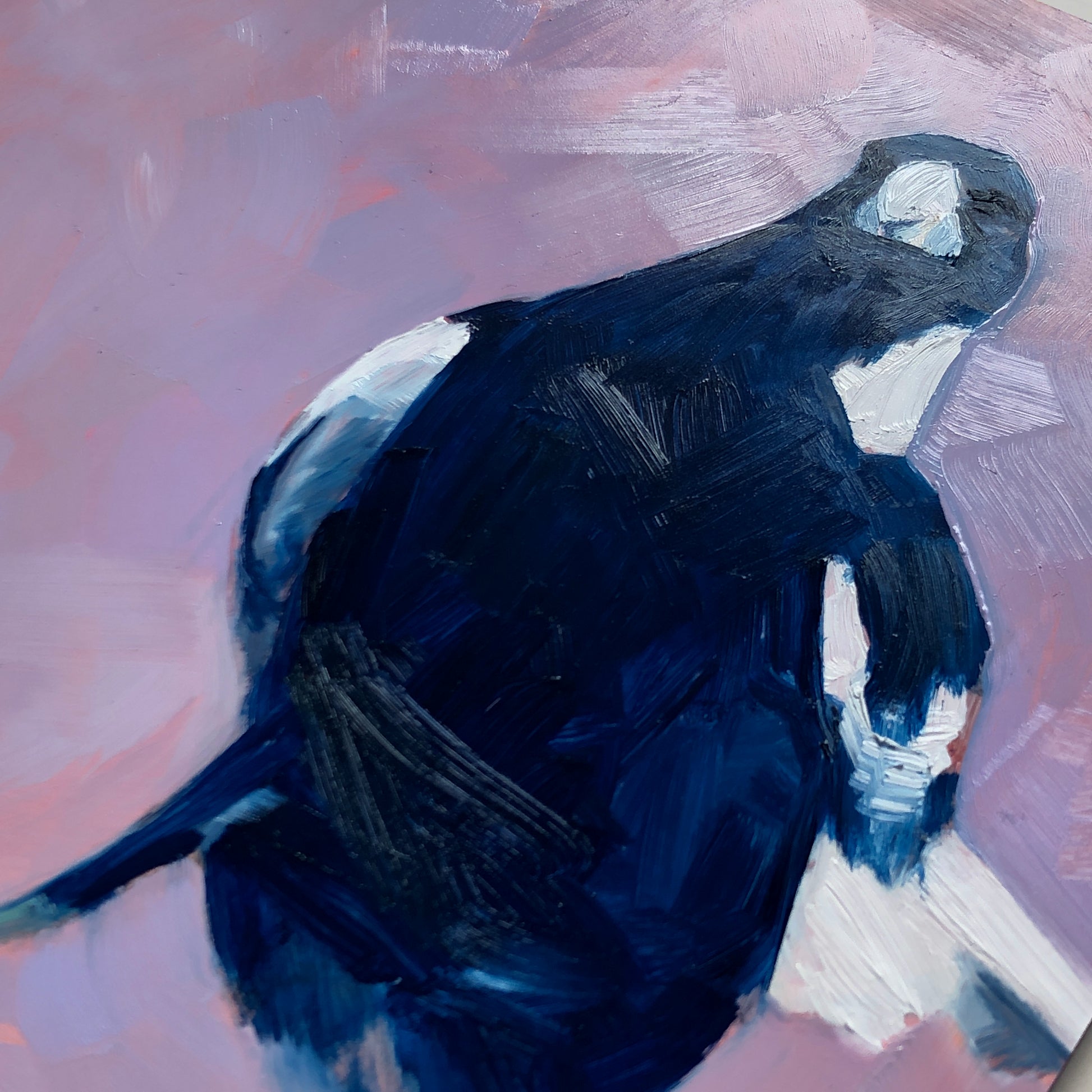 closeup of an original oil painting of a magpie in navy and white on a smooth and textured lilac background where the light reflects and the brushstrokes are clear