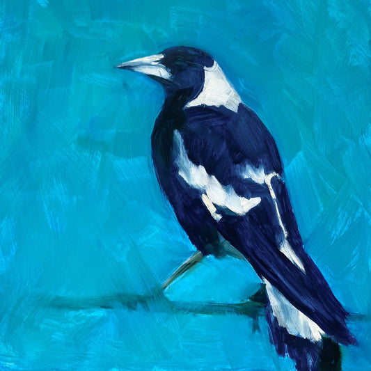 original oil painting of the profile of a navy blue and white magpie on a textured turquoise background