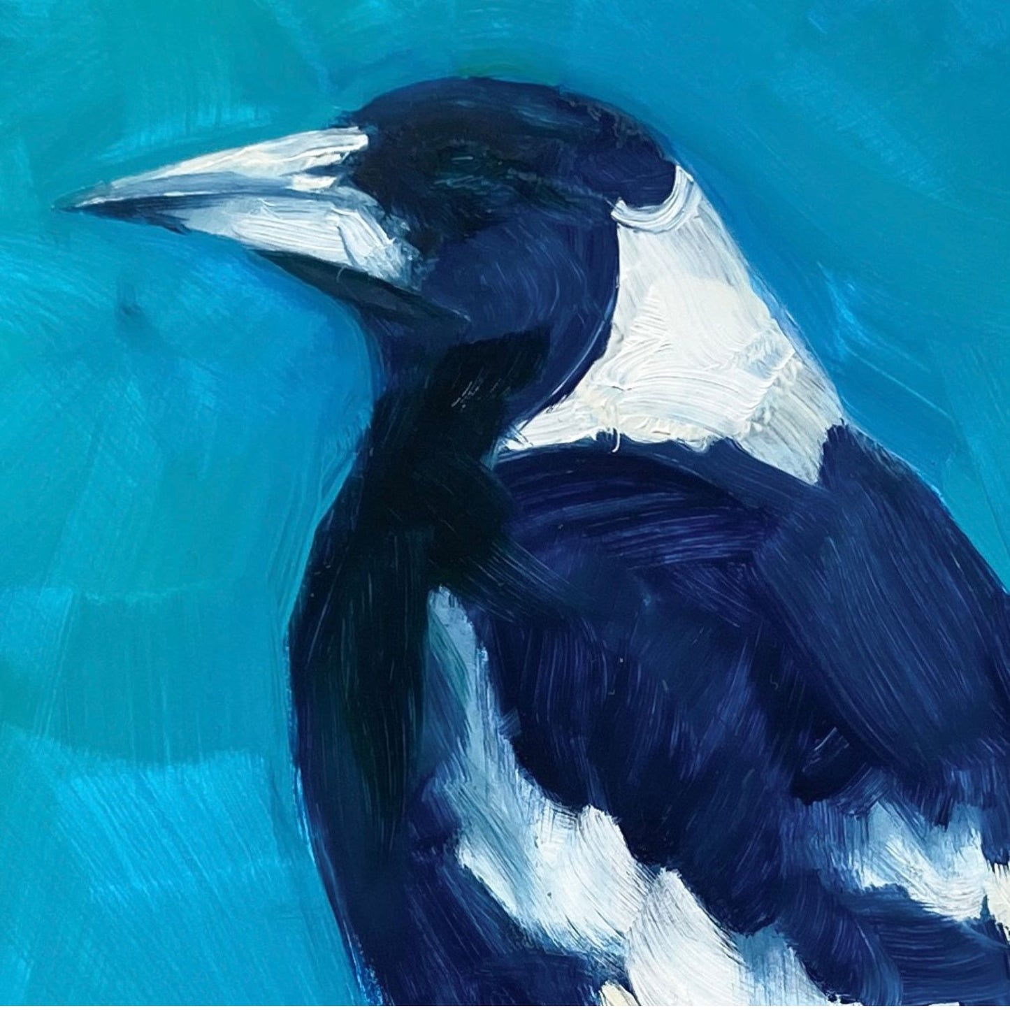 closeup of an original oil painting of the profile of a navy blue and white magpie on a textured turquoise background