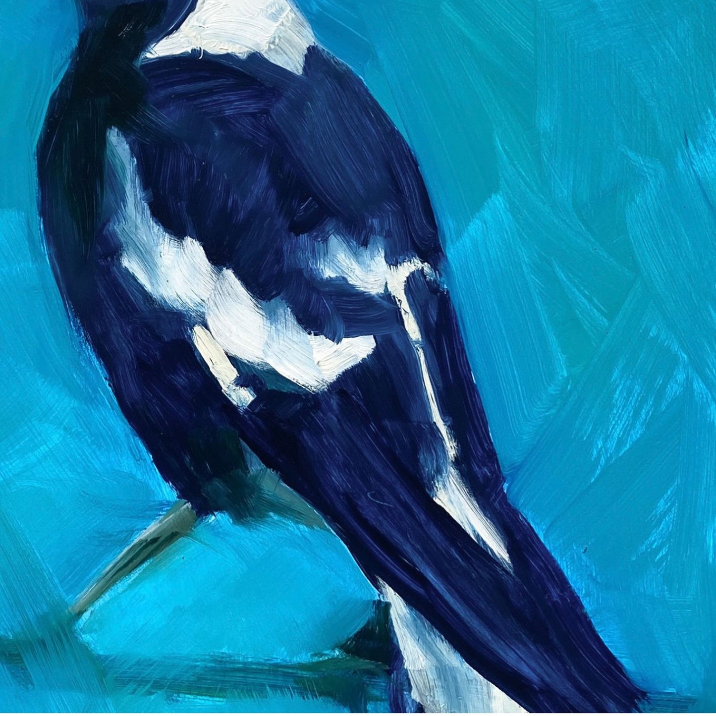 closeup of an original oil painting of the profile of a navy blue and white magpie on a textured turquoise background