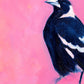 Pink Magpie Paper Print