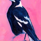 Pink Magpie Paper Print