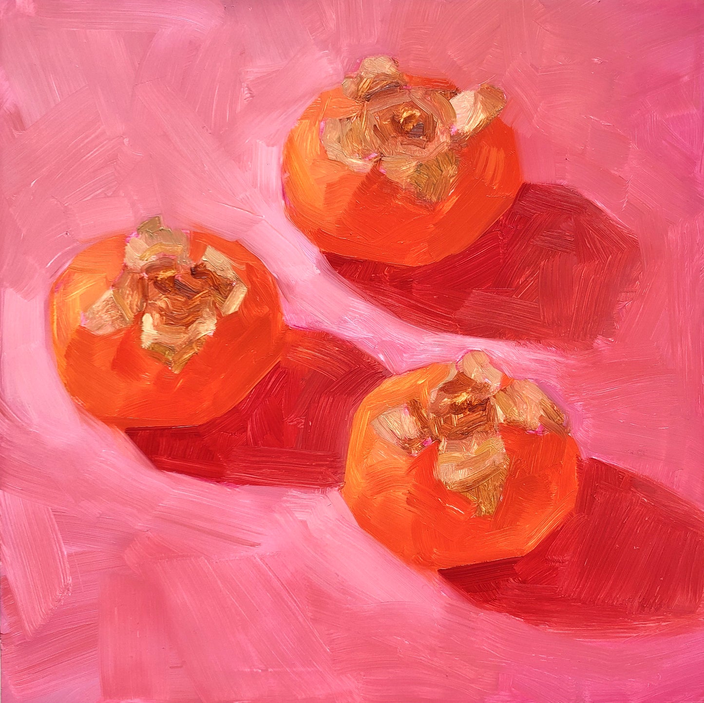 original oil painting of three orange persimmons on soft pink with strong shadows