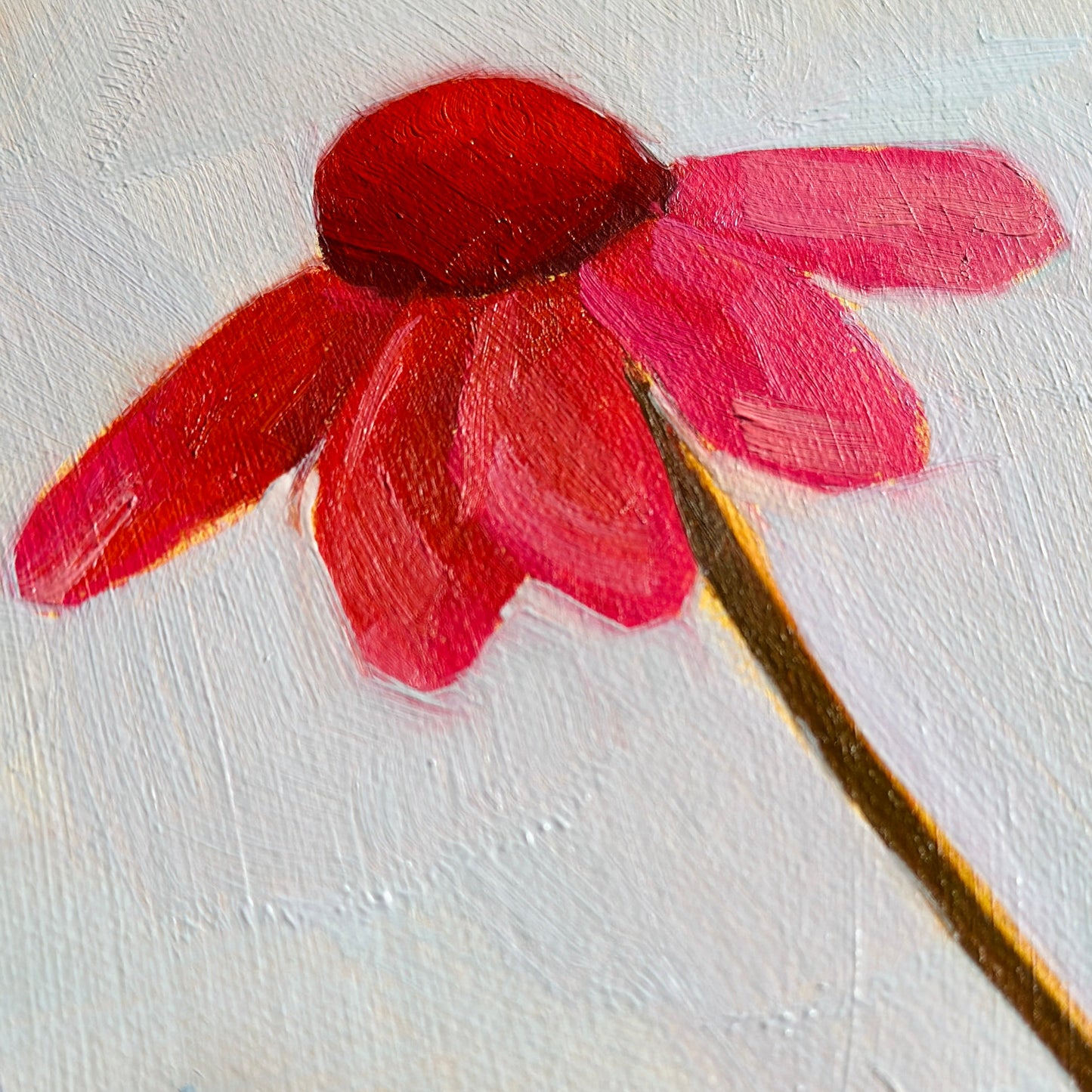 original oil painting of an echinacea flower with pink petals in a textured blue green background