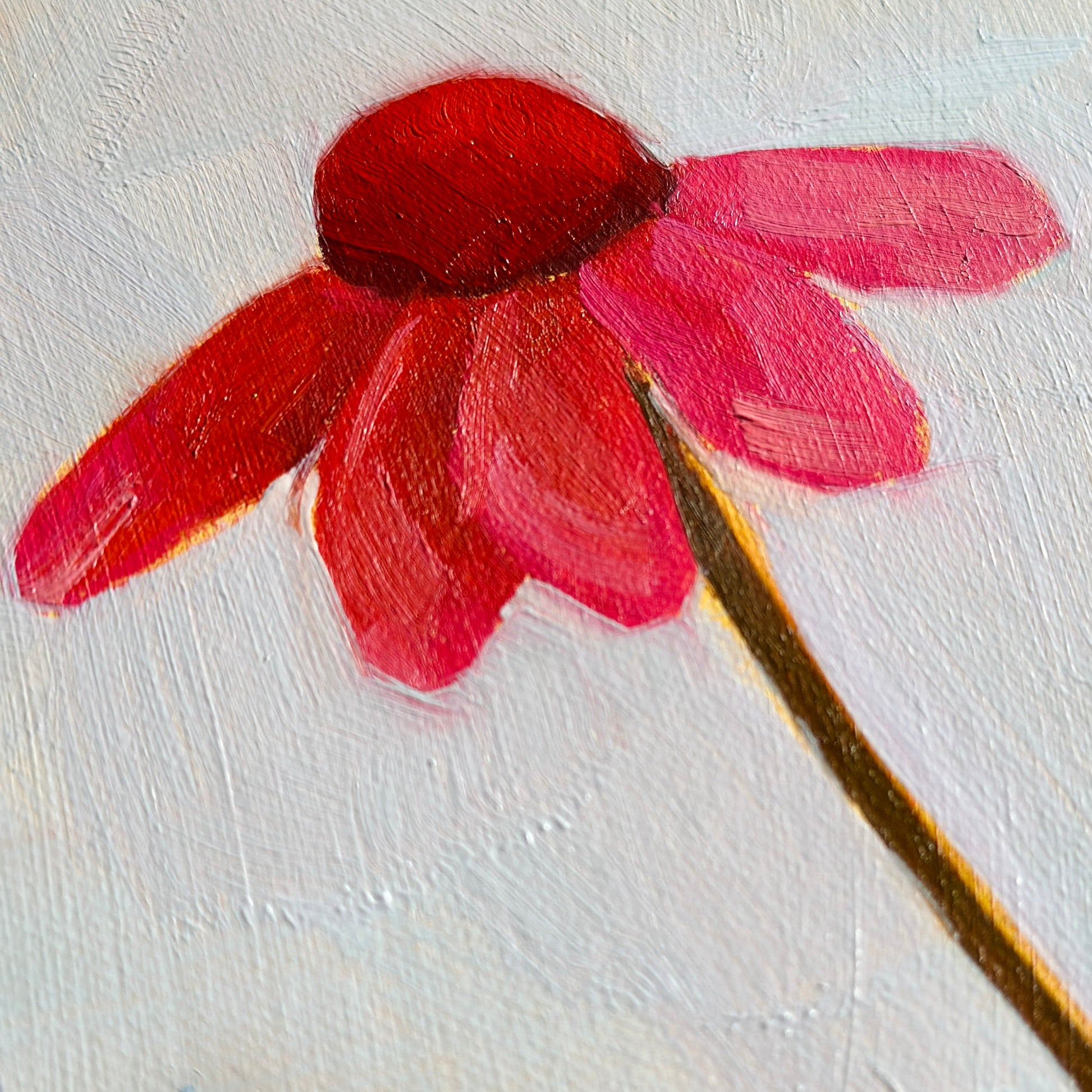 original oil painting of an echinacea flower with pink petals in a textured blue green background