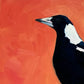 modern and contemporary original oil painting of a navy blue and white magpie on a textured bright orange background