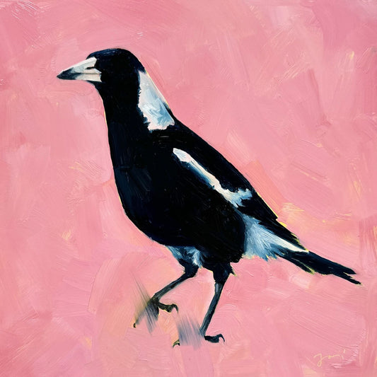 modern and contemporary original oil painting of a colourful navy blue and white magpie on a textured bubble gum pink background