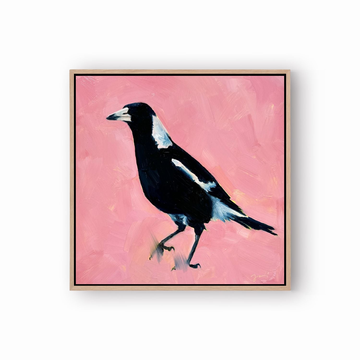 modern and contemporary original oil painting of a colourful navy blue and white magpie on a textured bubble gum pink background