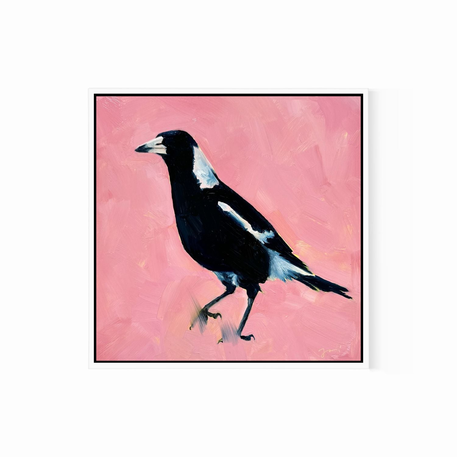 modern and contemporary original oil painting of a colourful navy blue and white magpie on a textured bubble gum pink background