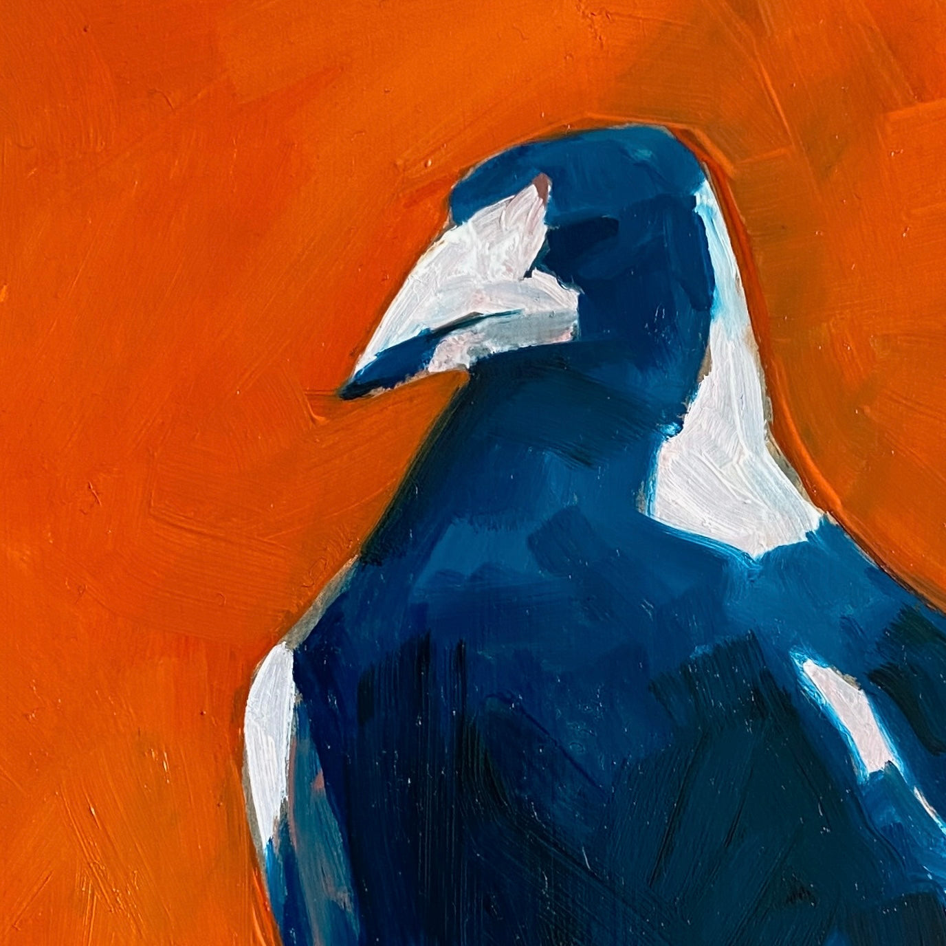 oil painting on panel closeup of the head of a magpie in blue with a bright orange background