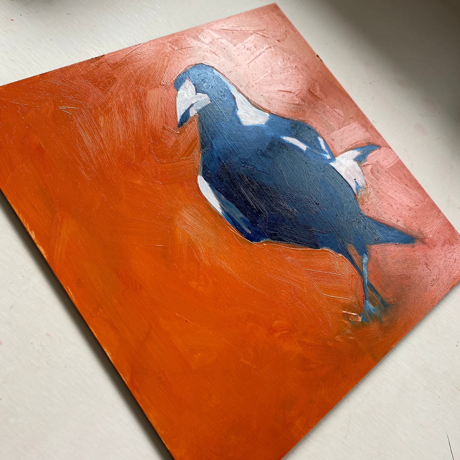 oil painting on panel of a magpie in blue with a bright orange background