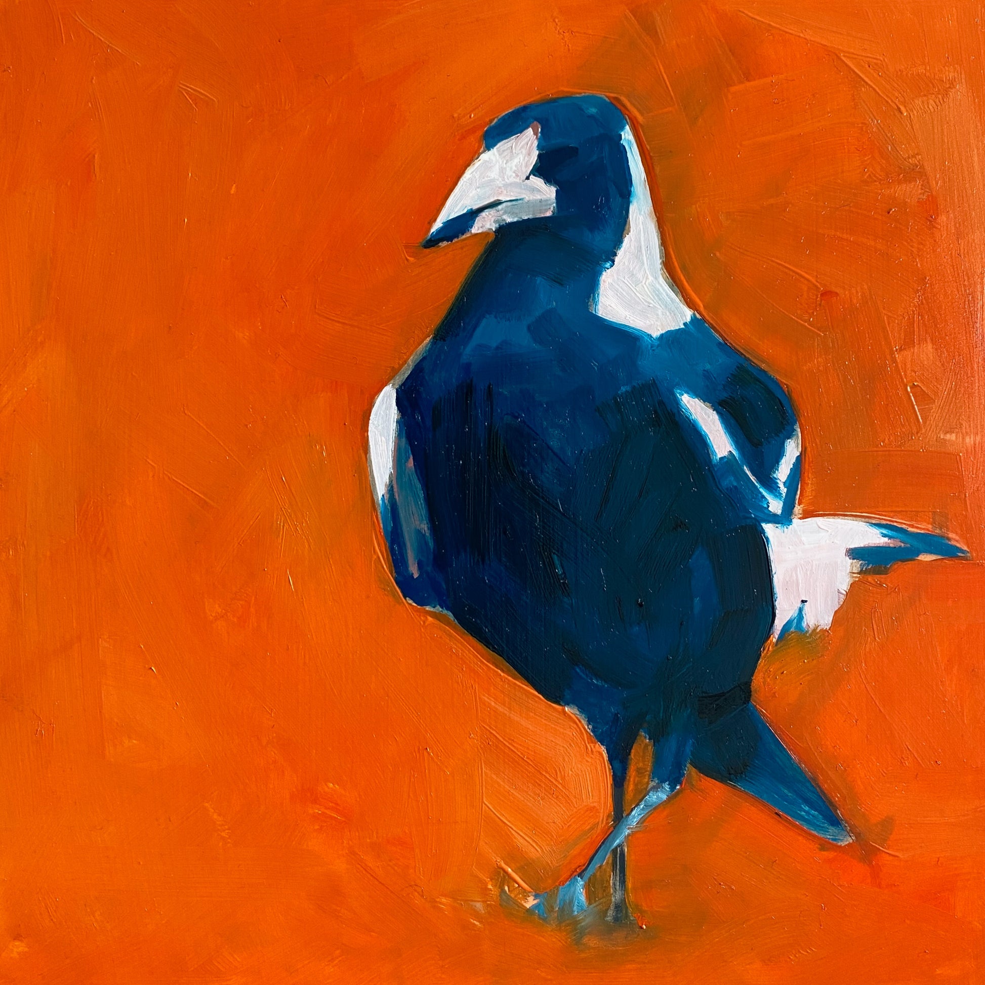 oil painting on panel of a magpie in blue with a bright orange background