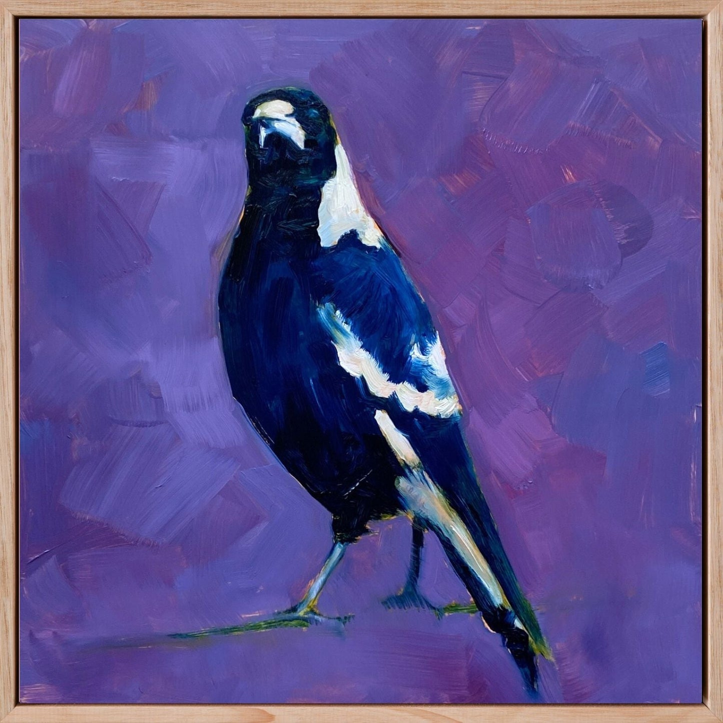 fine art print of an original oil painting of a navy blue and white magpie on a textured violet and purple background