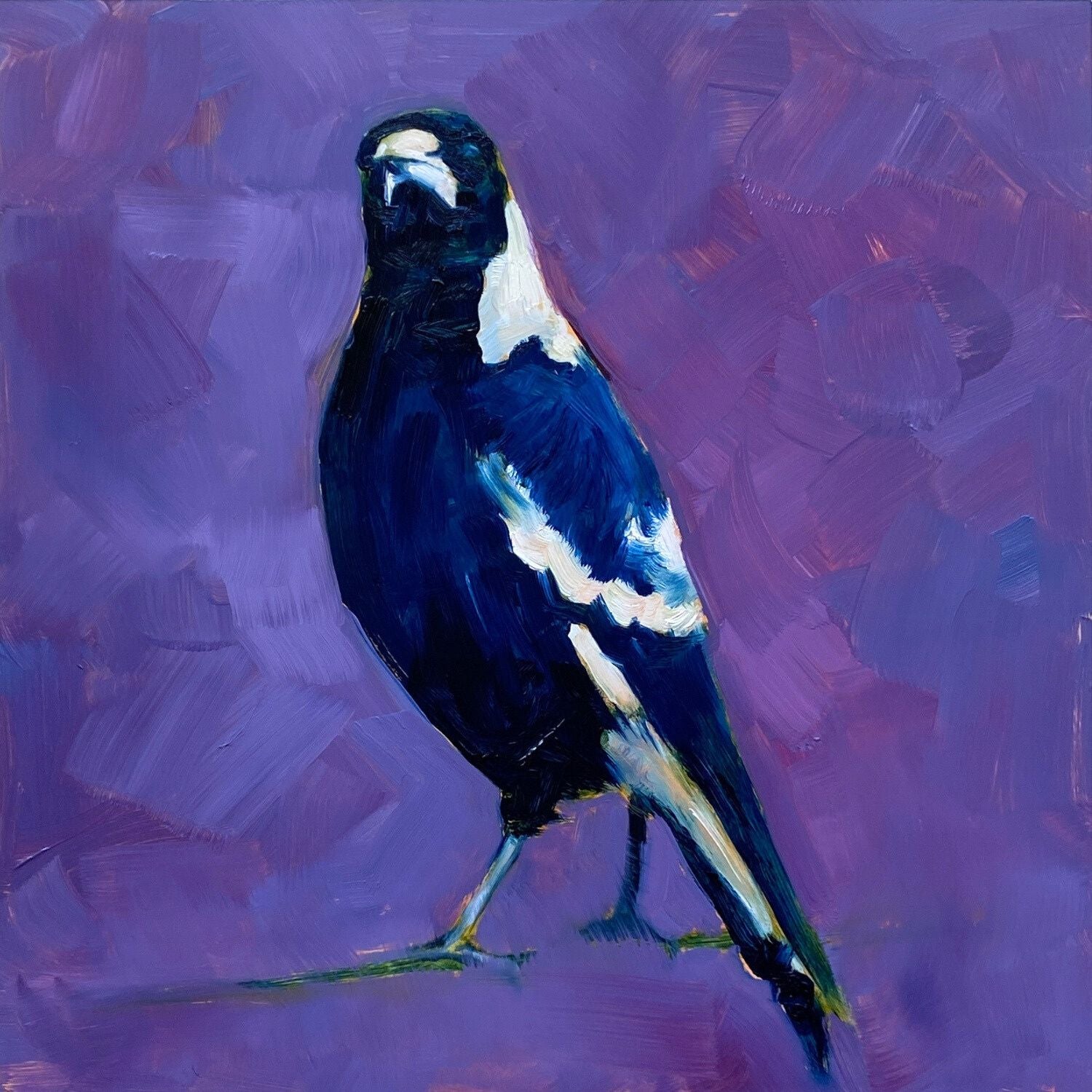 fine art print of an original oil painting of a navy blue and white magpie on a textured violet and purple background