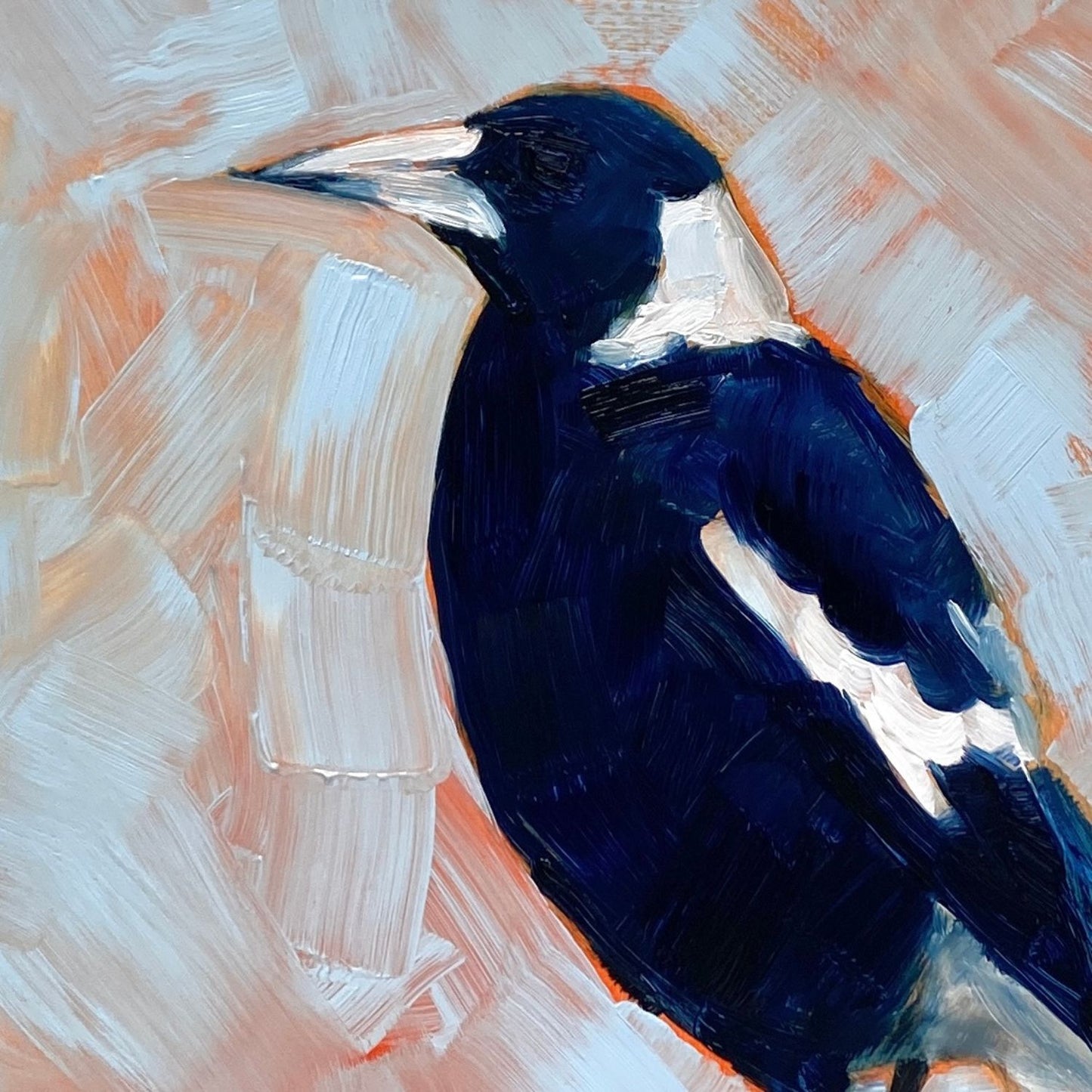 closeup of an original oil painting of a navy blue and white magpie on a textured sky blue background where you can see orange coming through